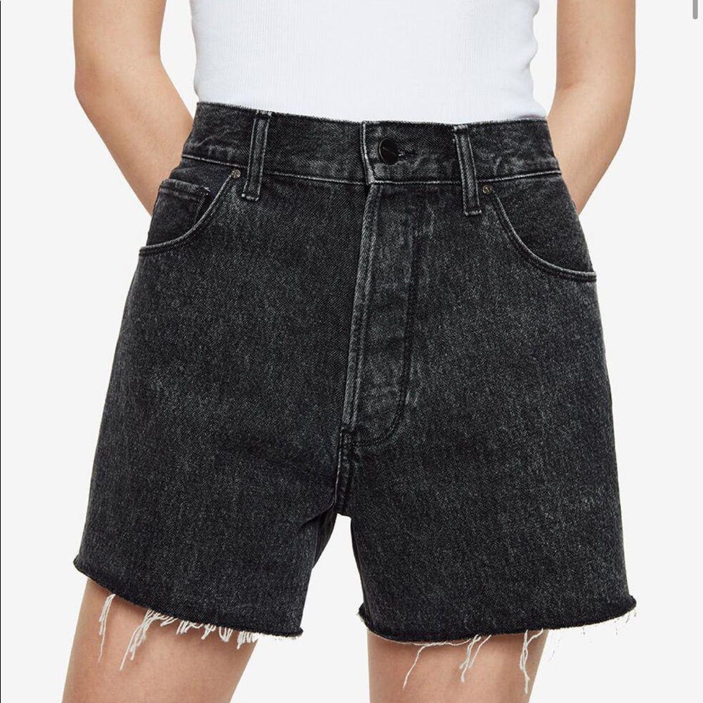 Anine Bing Gina Short Size 26 in Color Black Acid